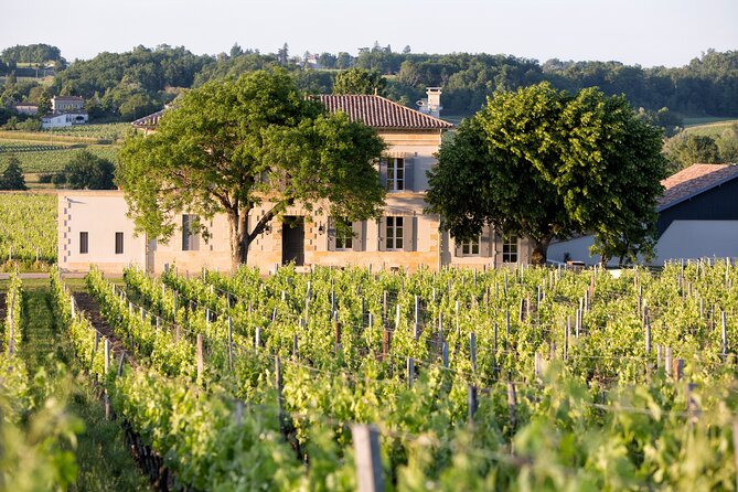Saint Emilion Half-Day Trip with Wine Tasting & Winery Visit from Bordeaux - Learning about Saint-Émilion wine without getting lost in jargon