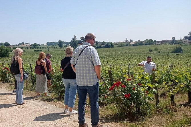 Saint Emilion Morning Wine Tour - Winery & Tastings from Bordeaux - Walking through Saint-Émilion’s old streets