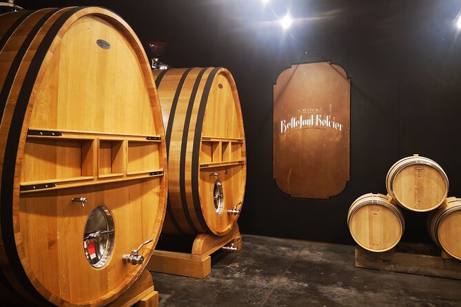 Saint-Emilion Private Full Day Wine Tour from Bordeaux - Key points to know before booking