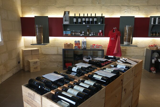 Saint-Emilion Private Full Day Wine Tour from Bordeaux - Leaving Bordeaux in a private minivan