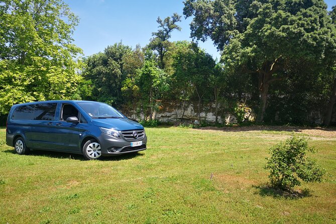 Saint-Emilion Private Full Day Wine Tour from Bordeaux - What the private guide changes
