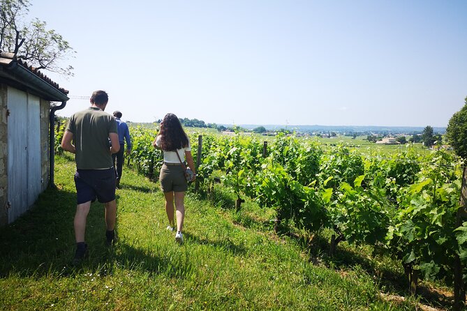 Saint-Emilion Private Full Day Wine Tour from Bordeaux - Who will enjoy this tour most?