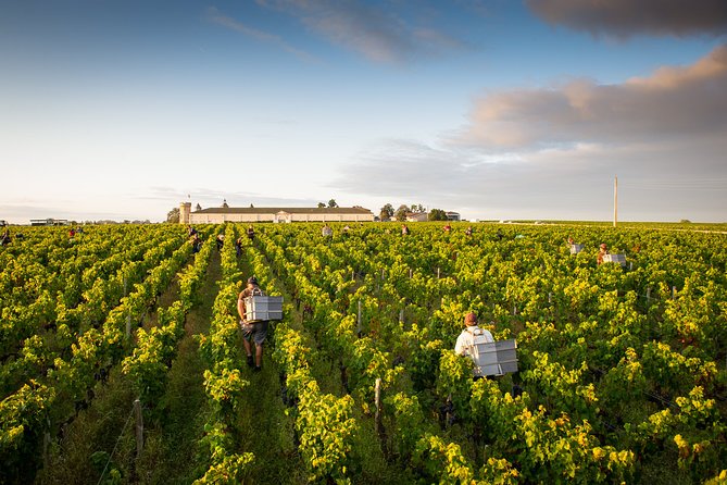Saint-Emilion Private Full Day Wine Tour from Bordeaux - Three château visits and what they add