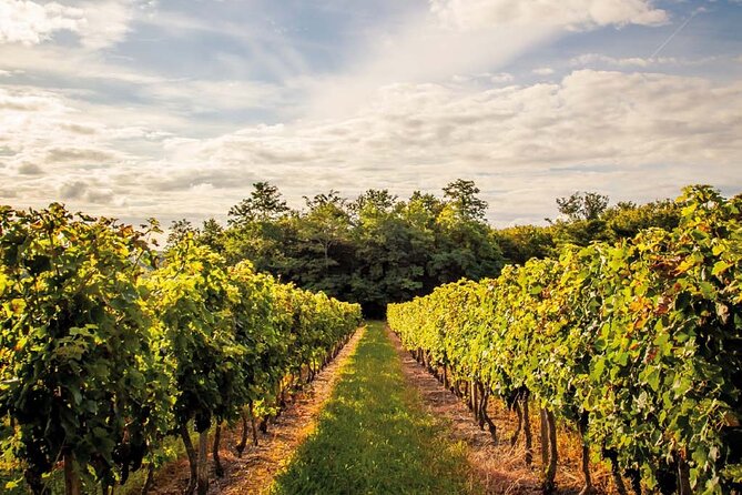 Saint-Emilion Private Half Day Wine Tour from Bordeaux - The underground monuments upgrade