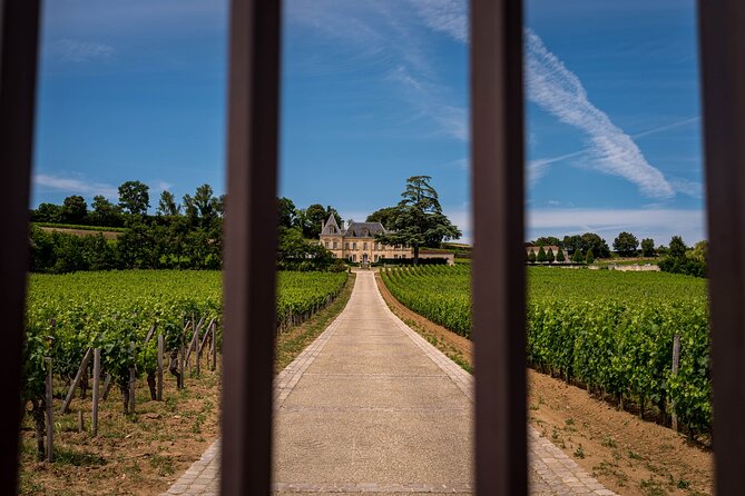Saint-Émilion Wine Tour By Premium Electric Bike, Lunch Included - Château Coutet and a different wine philosophy