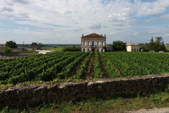 Saint Emilion Wine Tour Tasting Half Day from Bordeaux - Saint-Émilion village in one compact hour