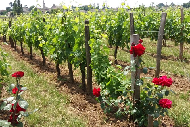 Saint Emilion Wine Tour Tasting Half Day from Bordeaux - The snacks and what to eat before departure
