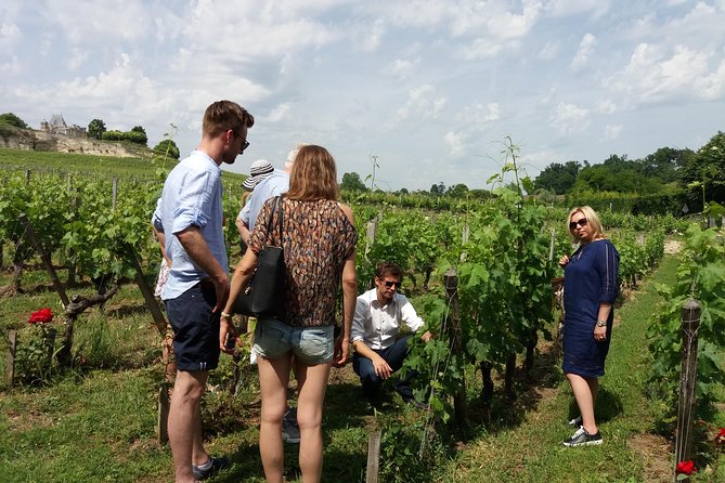 Saint Emilion Wine Tour Tasting Half Day from Bordeaux - What the guides add to the experience