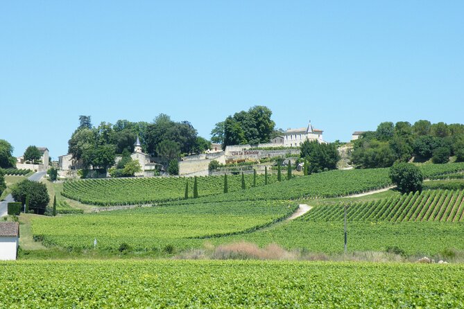 Saint Emilion Wine Tour Tasting Half Day from Bordeaux - Practical details that affect your day