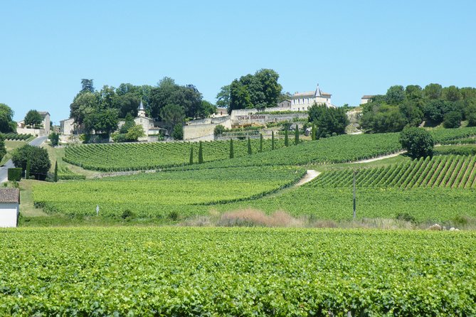 Saint Emilion Wine Tour Tasting Half Day from Bordeaux - Comparing a Grand Cru Classé estate with a family winery