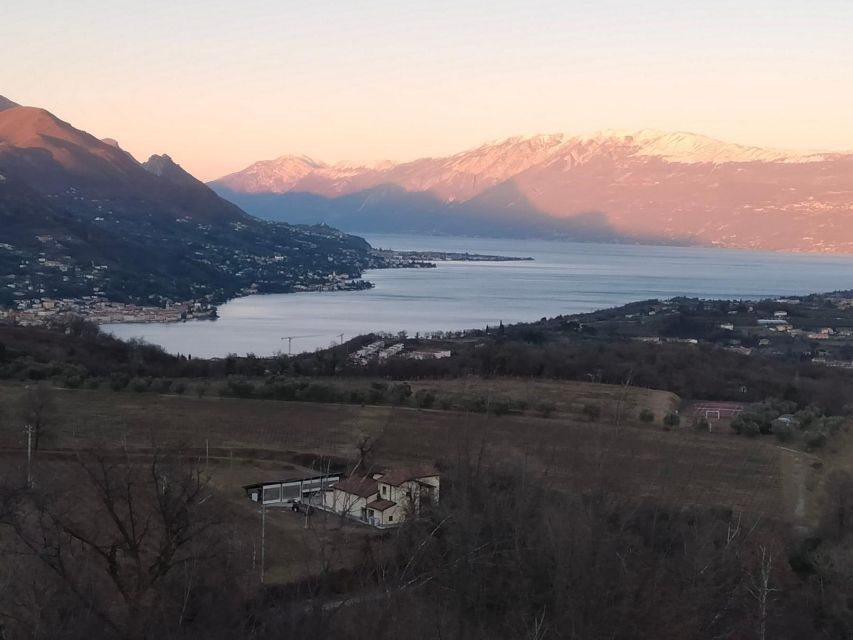 Salò: Tasting of 4 Valtenesi wines with local food - Key points to know before booking