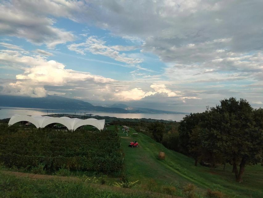 Salò: Tasting of 4 Valtenesi wines with local food - Should you book this winery experience?