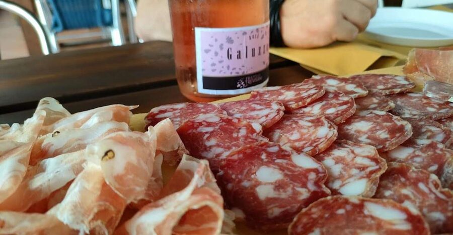 Salò: Tasting of 4 Valtenesi wines with local food - A family winery above the Gulf of Salò