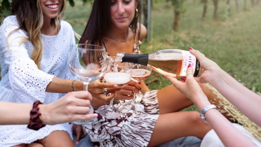 Salò: Tasting of 4 Valtenesi wines with local food - Why the view matters as much as the wine