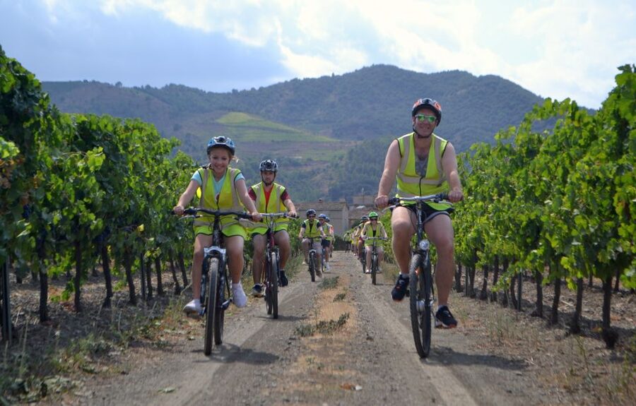 Salou: Easy Bike Tour with Wine Tasting - What the $60 price gives you