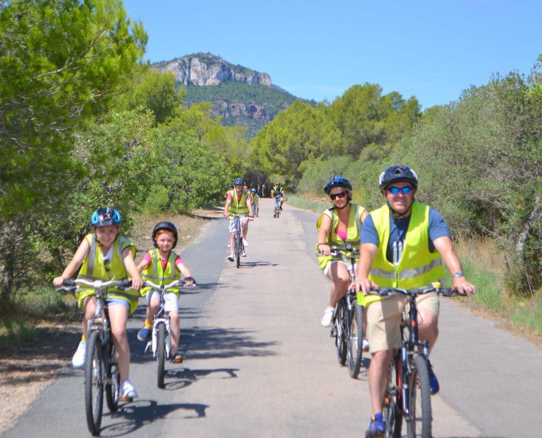 Salou: Easy Bike Tour with Wine Tasting - Freewheeling through vineyards