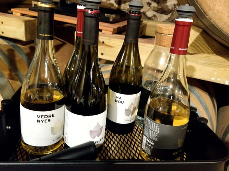 Salou: Priorat tasting Wine-Cellar Tour with hotel pickup - Key points to know before booking