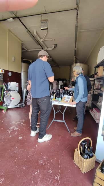 Salou: Priorat tasting Wine-Cellar Tour with hotel pickup - Should you book it?