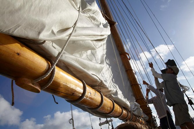 San Diego Bay Sail Aboard a Vintage Yacht Beer and Wine Included - Wildlife and the small details of the bay