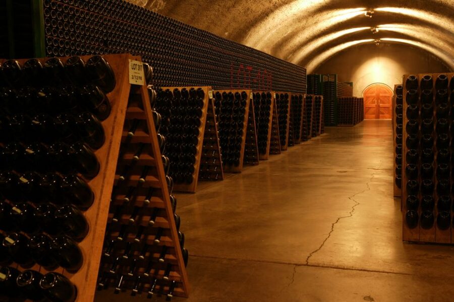 San Francisco: Guided Coastal Redwoods & Wine Country Tour - Should you book the Coastal Redwoods and Wine Country Tour?