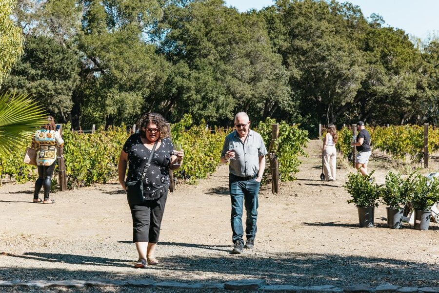 San Francisco: Half-Day Wine Country Excursion with Tastings - Group size and the social side of the trip