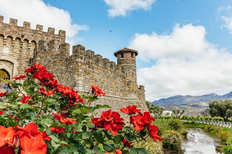 San Francisco: Luxury Small-Group Wine Tour of Napa Valley - Castello di Amorosa, Napa’s theatrical first stop