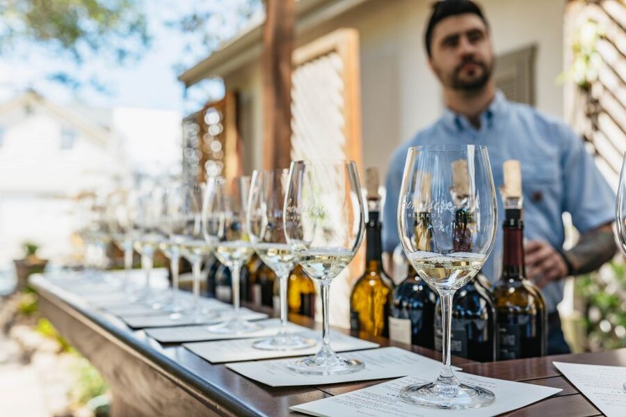 San Francisco: Luxury Small-Group Wine Tour of Napa Valley - Crossing the Bay and learning Napa’s basics
