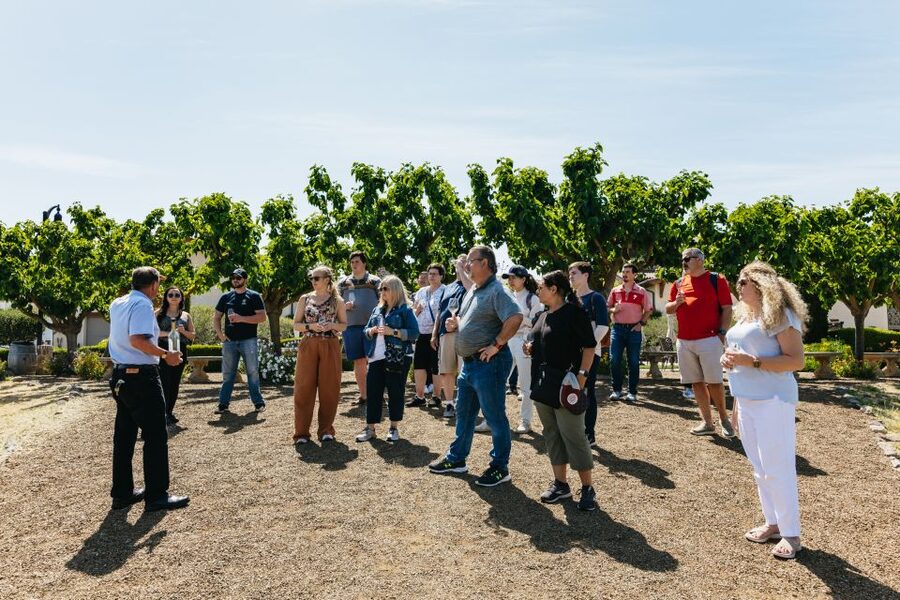 San Francisco: Muir Woods, Napa & Sonoma Valley Wine Tour - Why this full-day combination works