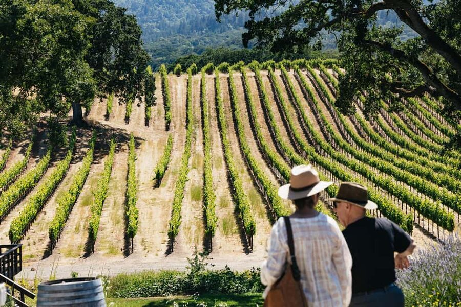 San Francisco: Napa and Sonoma Valley Wine Tour - Why this San Francisco wine tour works well