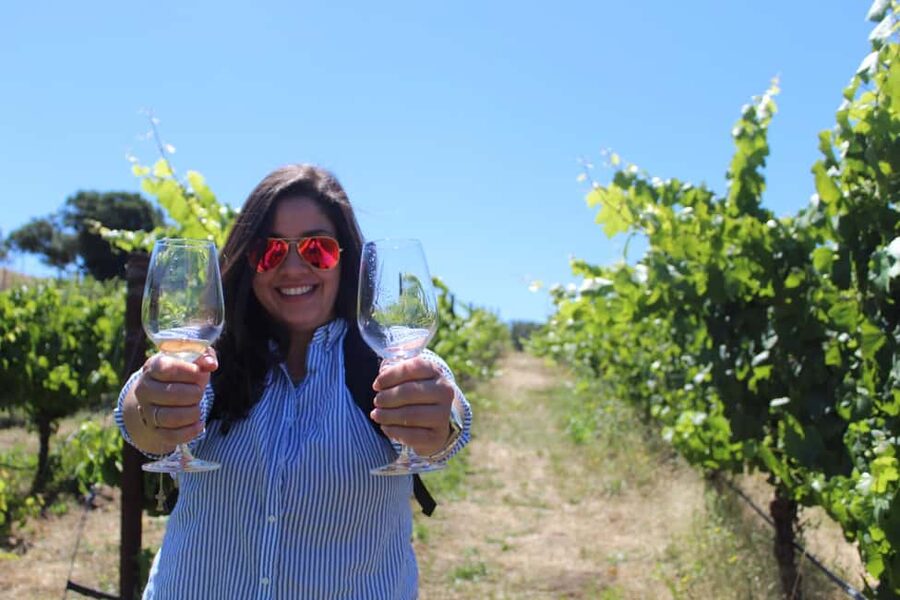 San Francisco: Napa and Sonoma Valley Wine Tour - The first winery: your introduction to California wine