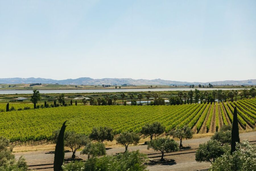 San Francisco: Napa and Sonoma Valley Wine Tour - A second tasting and the value of variety