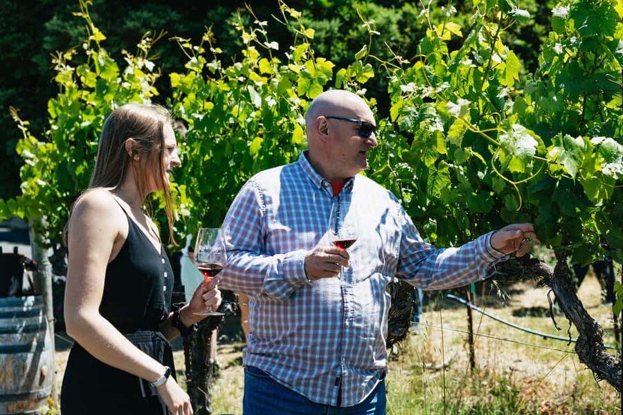 San Francisco: Napa and Sonoma Valley Wine Tour - What $165 gets you, and what it does not