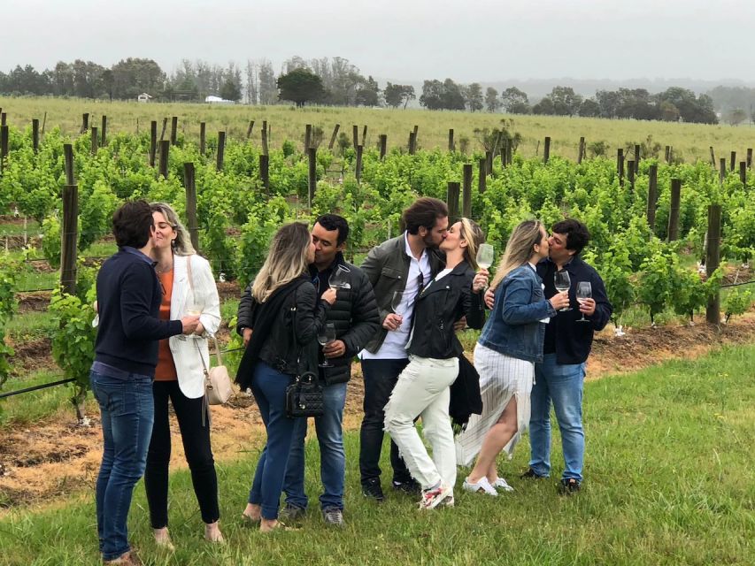 San Francisco: Napa Valley Half-Day Wine Tour with Tastings - The wine tasting, from first sip to last