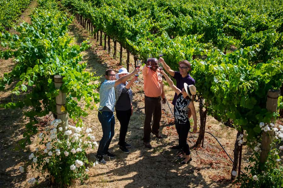 San Francisco: Redwood & Wine Country Tour with Lunch & Wine - Practical details that affect your decision