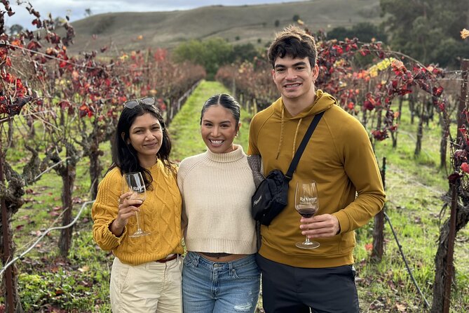 San Francisco Super Saver: Muir Woods & Wine Country w/ optional Gourmet Lunch - Sonoma Plaza gives you lunch choices and breathing room