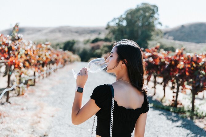 San Francisco Super Saver: Muir Woods & Wine Country w/ optional Gourmet Lunch - Mayo Family Winery offers a more personal stop