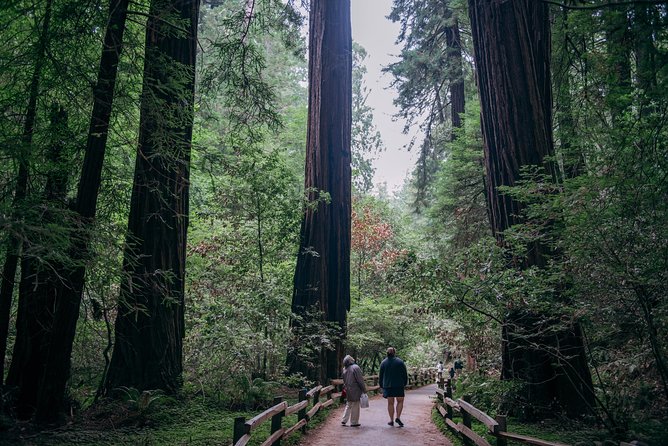 San Francisco Super Saver: Muir Woods & Wine Country w/ optional Gourmet Lunch - Jacuzzi Family Vineyards finishes the wine stops