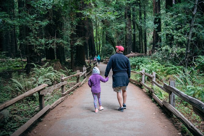 San Francisco Super Saver: Muir Woods & Wine Country w/ optional Gourmet Lunch - One hour beneath the coastal redwoods at Muir Woods