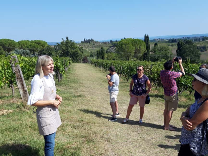 San Gimignano: Premium Wine Tour with Lunch - Why this San Gimignano wine tour works