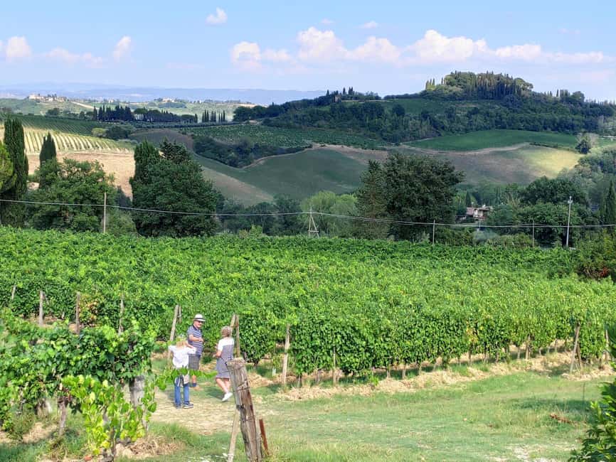San Gimignano: Premium Wine Tour with Lunch - FAQ