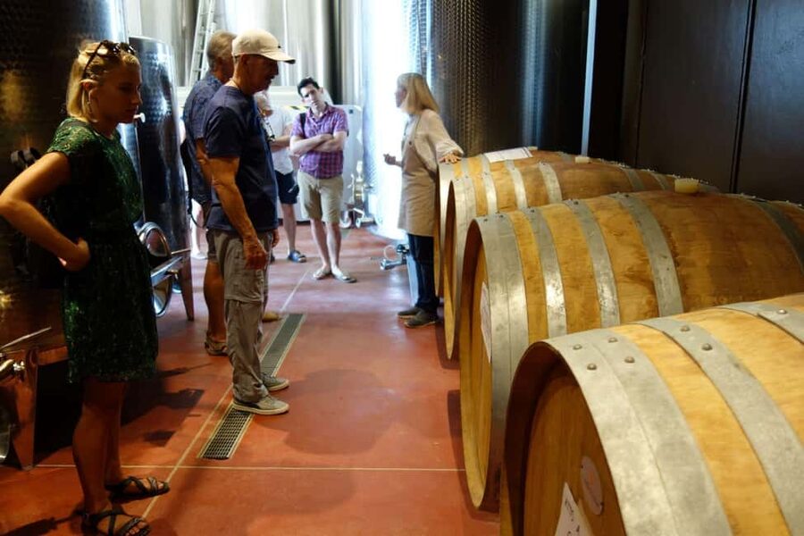 San Gimignano: Premium Wine Tour with Lunch - What you will taste in the five-wine lineup