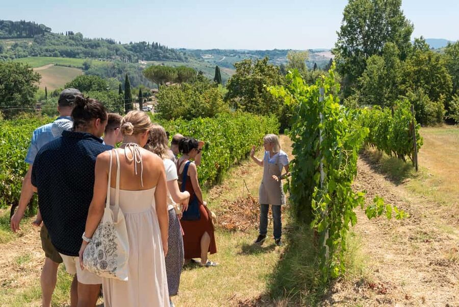 San Gimignano: Premium Wine Tour with Lunch - The value of the $77 price