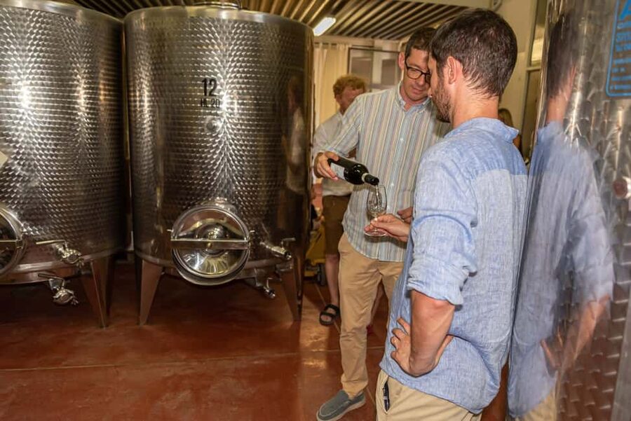 San Gimignano: Premium Wine Tour with Lunch - Practical planning for your San Gimignano day