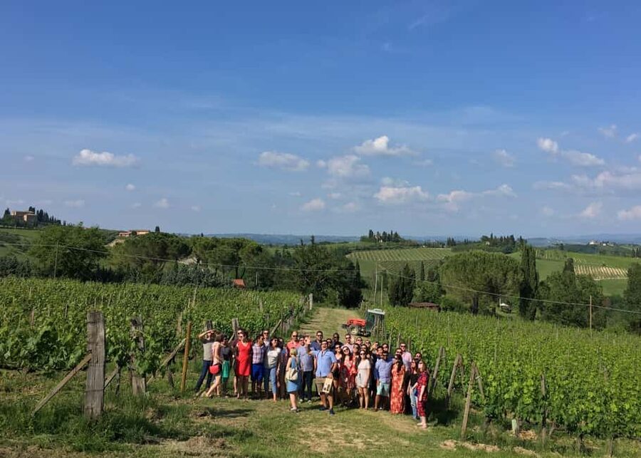 San Gimignano: Premium Wine Tour with Lunch - The one-hour vineyard and cellar visit