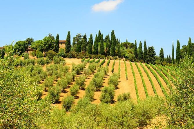 San Gimignano, Siena, Monteriggioni: Fully Escorted Tour, Lunch & Wine Tasting - Why this works as a Florence day trip