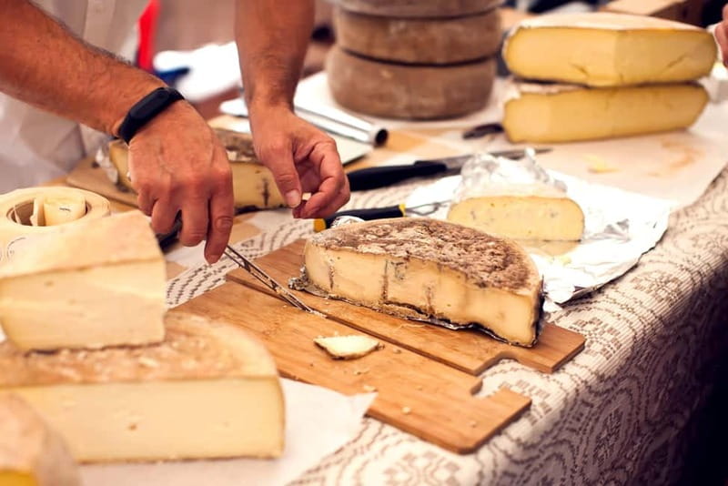 San Gimignano: Tasting of Tuscan Wines and Cheeses - A one-hour tasting at Tenuta Torciano