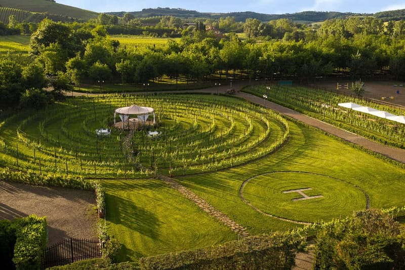 San Gimignano: Tasting of Tuscan Wines and Cheeses - How the wine lesson works