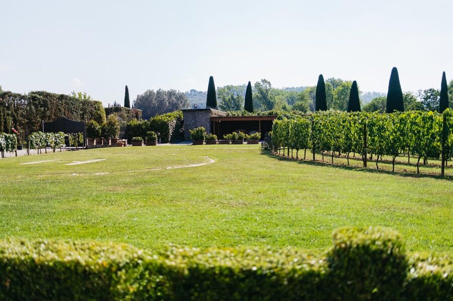 San Gimignano: Tuscan Vineyard Lunch with Wine Tasting - Key points to know before booking