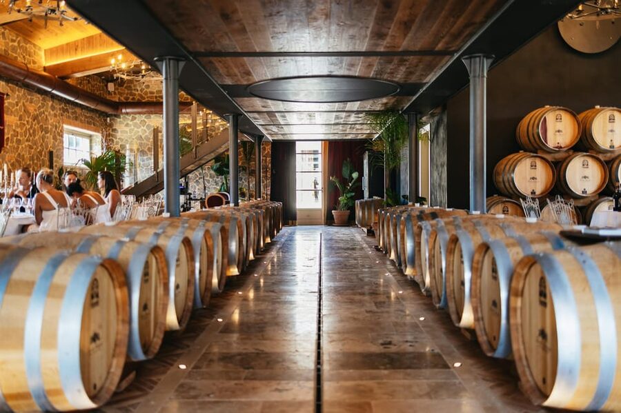 San Gimignano: Tuscan Vineyard Lunch with Wine Tasting - Free time for gardens, vineyards, and photos