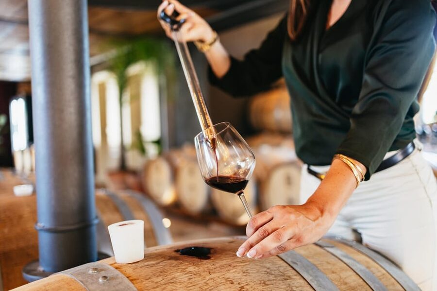 San Gimignano: Tuscan Vineyard Lunch with Wine Tasting - Who should book this winery lunch?